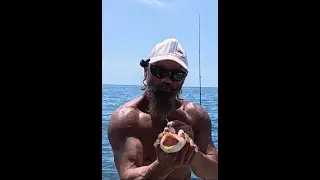 Swansea fad fishing fail.