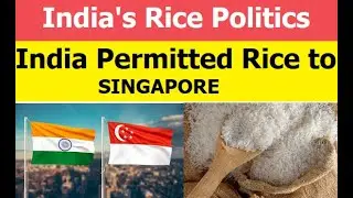 India's Rice Export Ban: Is It Playing Politics?
