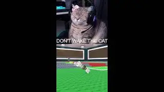 STEAL A BRAINROT😎 DON'T WAKE THE CAT🐱🐱