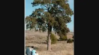 La Sabina. Labordeta