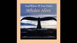 &ldquo;The Voyage Home&rdquo; - Whales Alive
