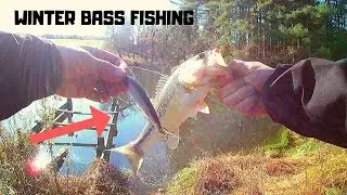 EXTREME COLD WATER BASS FISHING (Jerkbait vs Ned Rig)