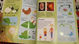 Usborne first illustrated science dictionary