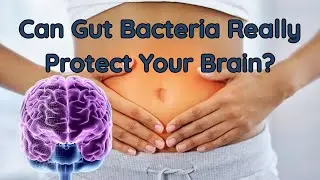 Can Gut Bacteria Really Protect Your Brain?