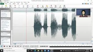 Wavepad 2