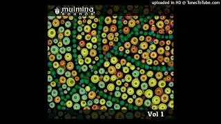 Silent Alkaloid - Spirit Junkie