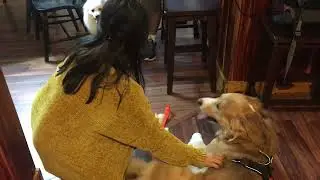 Alden Wants Exclusive Head Rubs