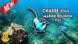 MERSEA 1 - Chasse Sous Marine Réunion 2022 - Spearfishing Edit 974 Reunion Island