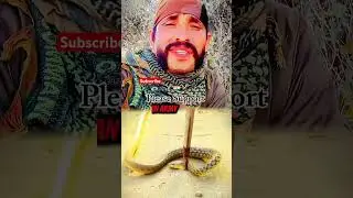 army videos #army#trend#commando#armylover#snake#pehulguam#