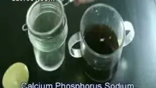 DRINKING TOO MUCH COCA COLA CAUSES OSTEOPOROSIS !