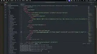 zsh: command not found : node js