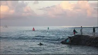 Kewalos Surfing Glassy Sunrise Surf  4K