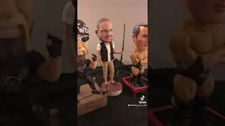 #wwe #wwf #bobblehead #bobbleheads #bobbleheadcollection