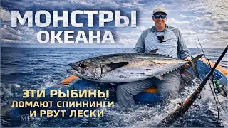Адская рыбалка в океане! Столько поклёвок я не видел никогда | Шри-Ланка