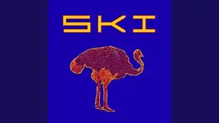 SKI VOL 2