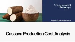 Cassava Production Cost Analysis Report
