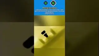 #brawlstars #бравлстарсмемы #мем #бс #memes #bs #brawstarsmemes