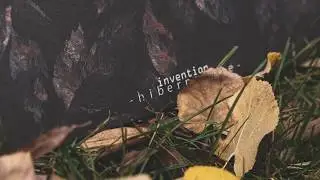 Invention_ - hibernature (vinyl highlight #9)