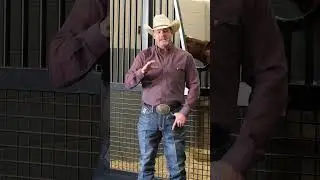 Rubber mats protect your horse stalls base #applythemethod
