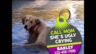 Call Mom She's Ugly Crying Pet ID Tag | Dog ID Tags | Aw Paws