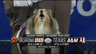 NCAAF 2019-2020 / Texas Bowl / (25) Oklahoma State Cowboys - Texas A&M Aggies / EN