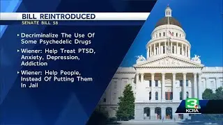 California lawmakers to reconsider decriminalizing psychedelics in the state