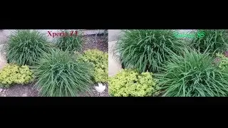 Xperia Z2 vs Galaxy S5 Camera Shootout & Comparison - Sony vs. Samsung Pictures