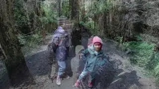 Glow worm Tunnel and Lost City #lithgow #glowwormtunnel #lostcity