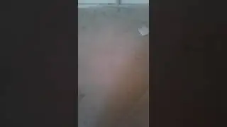 Куруто