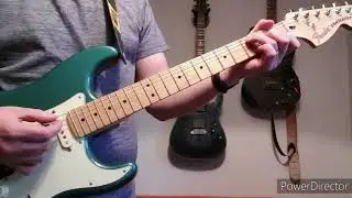 Hate The Police - Mudhoney - Guitar Cover
