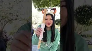 Everything I ate at Disneyland California 😍🍗💗✨