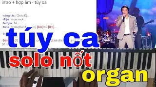 Học organ online T&Uacute;Y CA / cảm &acirc;m / solo nốt / T&Uacute;Y CA #cảm&acirc;morgan