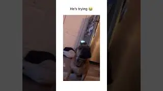 Hold The Fucking Light Straight!!!