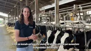 MAGNIVA-Inoculi in Azione: Benefici, Batteri e Stabilit&agrave; dell&rsquo;Insilato