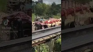 Nemesis #altontowersresort #fypシ #rollercoaster #thrill #viral #viralvideo