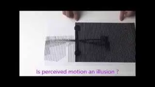 The illusion of motion