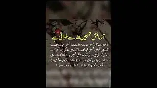 ❤💕💖 Touching Quotes | Golden Words In Urdu | Islamic Quotes By Rahe Haq Quotes✨💞