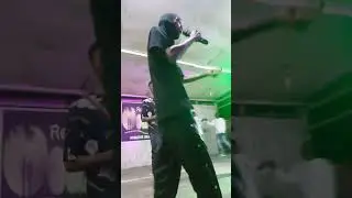 zodo gang concert live