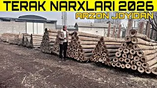 TERAK BOZOR NARXLARI 2026 OPTOM ARZON JOYIDAN