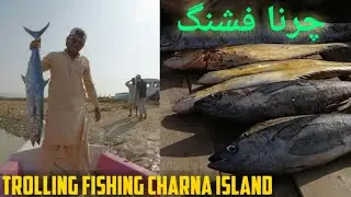 Trolling Fishing | Tolling Charna Island | Caught King Mackerel Queen Fish Tuna | Karachi Fishing