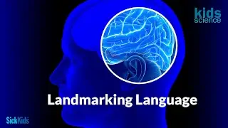 Kids Science with Darren: How imaging techniques help protect language in the developing brain.