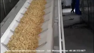 New Technical  fryum snacks extruder machine，2D Fryums Extruder Making Machine，3d 2d pellet snacks f