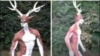 Never Dress Up As A Deer During Hunting Season 😰
