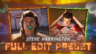 STEVE HARRINGTON S5 EDIT | ALIGHT MOTION | XML + CLIPS 