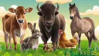 Звуки сельскохозяйственных животных: корова, бизон, лошадь, кролик, заяц, курица,... – Милые животны
