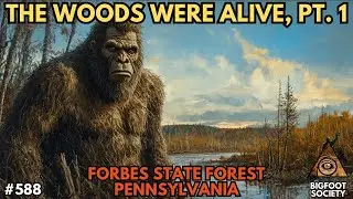 The Woods Were Alive, Pt. 1 | Bigfoot Society 588