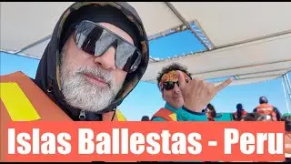 Focas, pelicanos e aves nas ilhas Ballestas