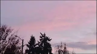 Pink Fall Sunset