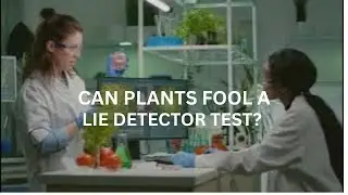 Do Plants Have Souls  ?