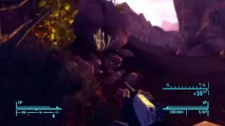 Fallout New Vegas: The magic flying bear